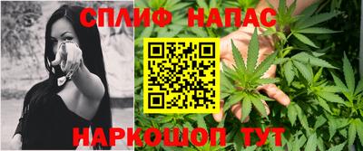 сатива Моздок