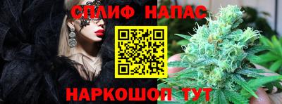 сатива Моздок