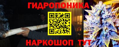 гидропоника Можга