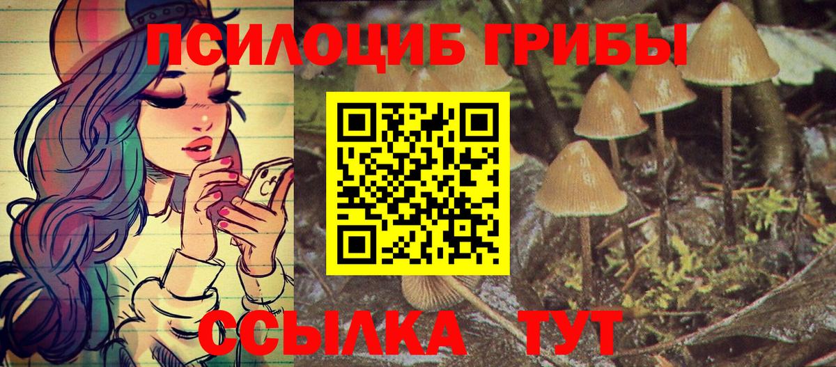 Псилоцибиновые грибы Psilocybine cubensis  Вход с VPN  где продают   Сосновый Бор 