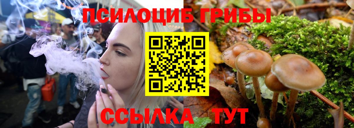Галлюциногенные грибы мухоморы Сосновый Бор