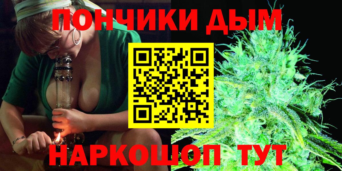 Каннабис сатива Сосновый Бор